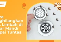 9 Cara Menghilangkan Lalat Limbah di Kamar Mandi Sampai Tuntas