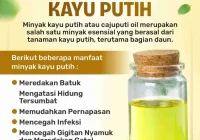 Alergi Minyak Kayu Putih: Penyebab dan Cara Mengobati