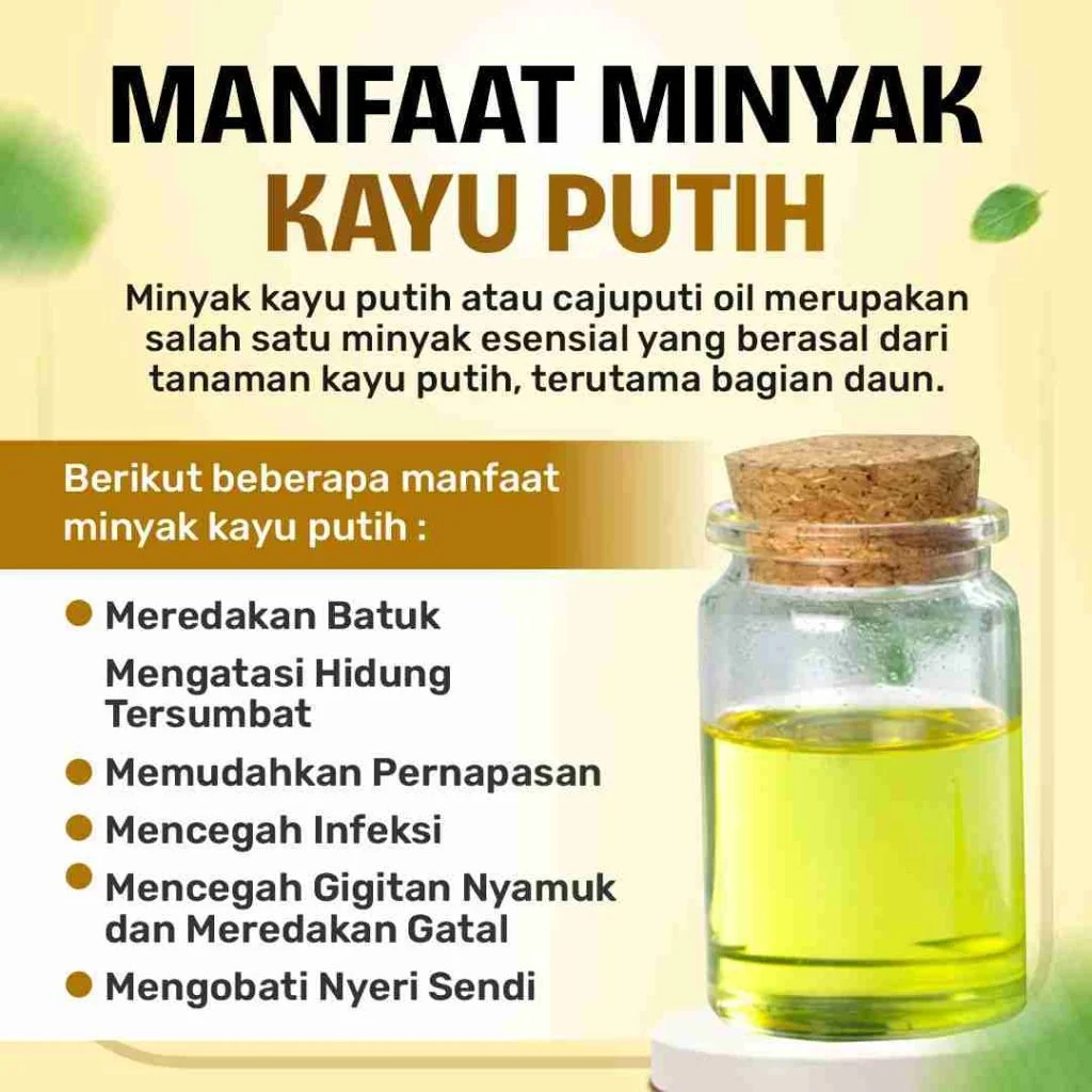 Alergi Minyak Kayu Putih: Penyebab dan Cara Mengobati