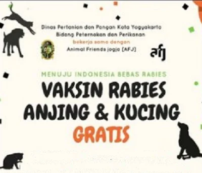 Bagaimana Memilih Klinik Veteriner dengan Harga Vaksin Kucing di Indonesia yang Kompetitif?