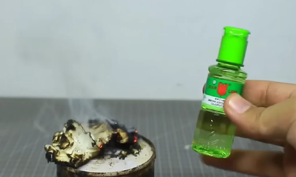 Basmi Nyamuk di Rumah dengan Minyak Kayu Putih: Cara Mudah dan Efektif