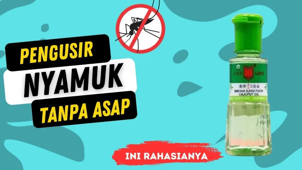 Cara Membuat Pengusir Nyamuk dengan Minyak Kayu Putih - YouTube