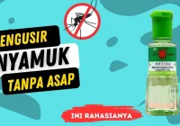 Cara Membuat Pengusir Nyamuk dengan Minyak Kayu Putih - YouTube