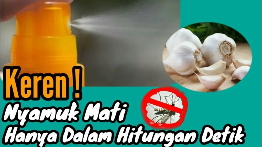 Cara Membuat Semprotan Anti Nyamuk Berbahan Alami || Sangat Ampuh