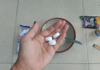 Cara Mengusir Kecoa dengan Kapur Barus, Dijamin Gak Balik Lagi!