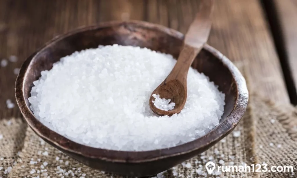 Cara Mengusir Lalat dengan Garam yang Ampuh. Rumah Bebas Lalat!