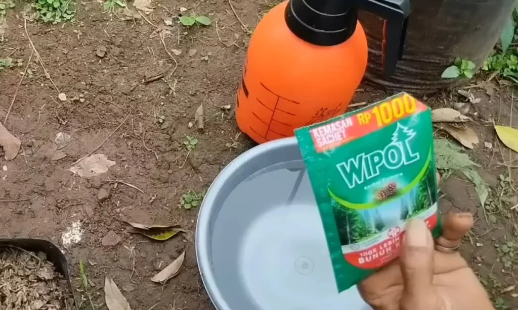 Cara Mengusir Lalat dengan Wipol yang Ampuh dan Efektif