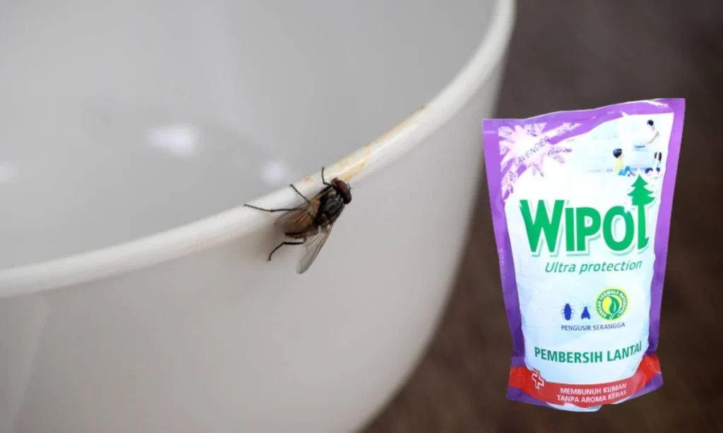 Cara Mengusir Lalat dengan Wipol yang Ampuh dan Efektif