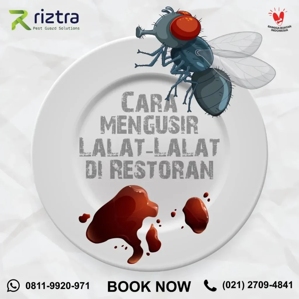 Cara Mengusir Lalat-Lalat di Restoran – Riztra