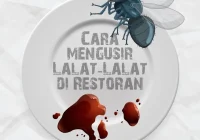 Cara Mengusir Lalat-Lalat di Restoran – Riztra