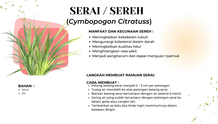 Detail Berita :: Web Terpadu Kabupaten Tangerang