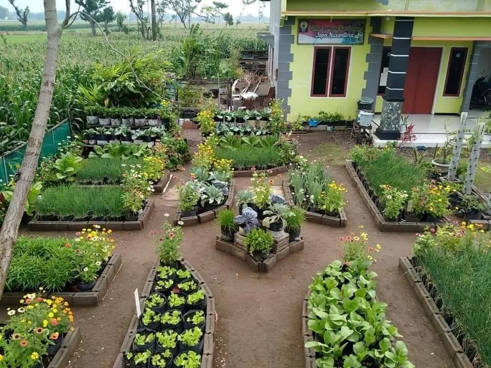di Desain Kebun di Halaman Rumah