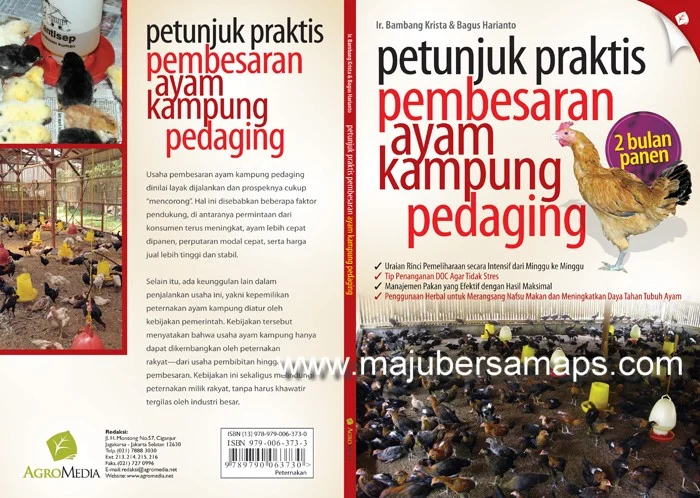 ILMU BUDIDAYA PETERNAKAN INDONESIA: PETUNJUK PRAKTIS PEMBESARAN AYAM