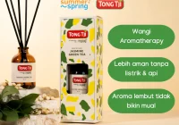 Jual Aromaterapi Diffuser/Pewangi Kamar Tidur Tahan Lama/Pewangi
