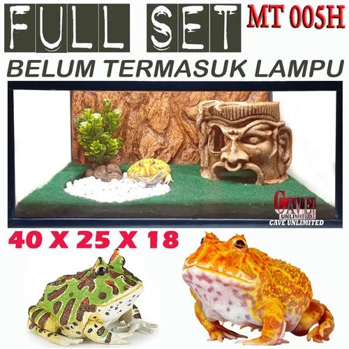 Jual MT005H KANDANG AQUARIUM TERRARIUM PACMAN KATAK KODOK FROG AMPHIBI