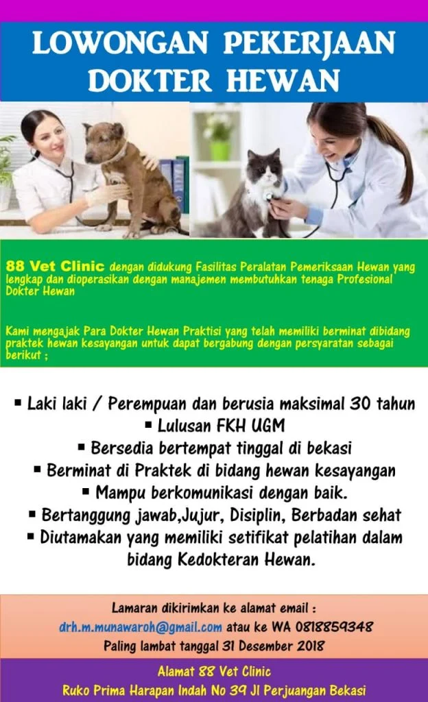 Kapan Harus Menghubungi Dokter Hewan?