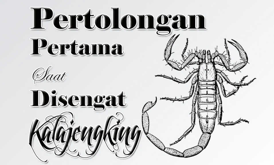 kesehatan dan makanan