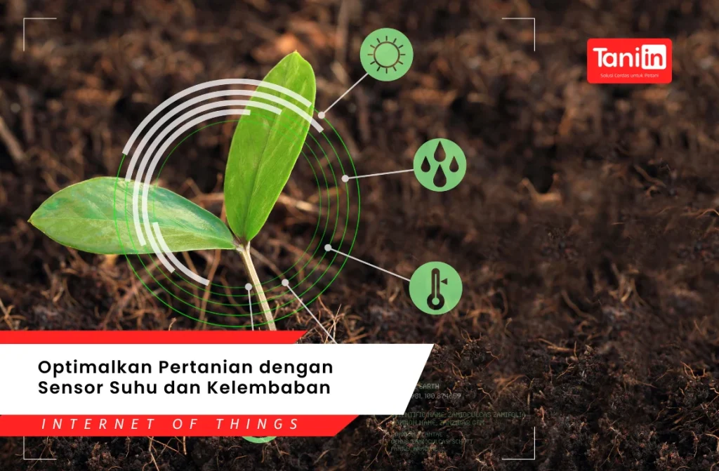 Optimalkan Pertanian dengan Sensor Suhu dan Kelembaban
