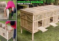 panduan DIY kandang kodong Pac‑Man untuk anak‑anak: Persiapan Bahan dan Alat