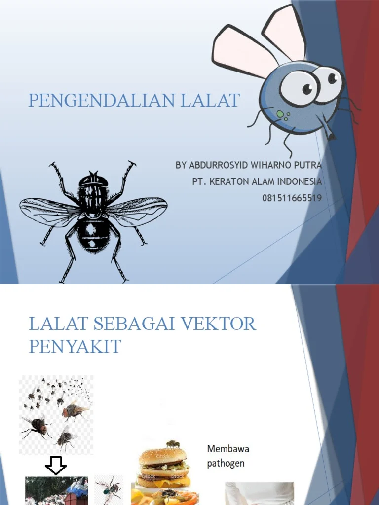 Pengendalian Lalat | PDF | Kesehatan Holistik | Teknologi & Rekayasa