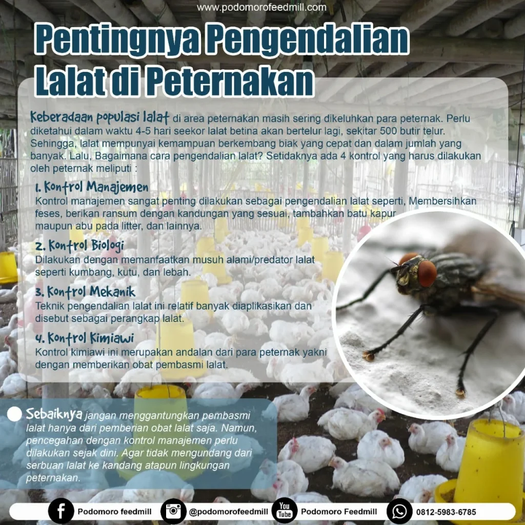 Pentingnya Pengendalian Lalat di Peternakan, Podomoro Poultry Equipment
