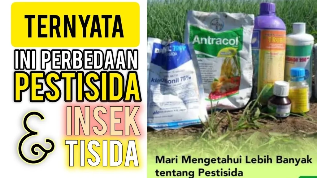 Perbedaan Pestisida dan Insektisida - YouTube