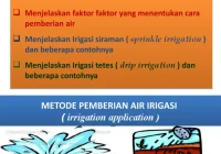 Pola Pemberian Air pada Kodok Pacman: Prinsip Dasar dan Praktik Terbaik