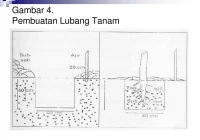 PPT - ANATOMI & BUDIDAYA PowerPoint Presentation, free download - ID