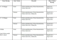 Rincian Biaya Vaksin Kucing Lengkap dan Booster