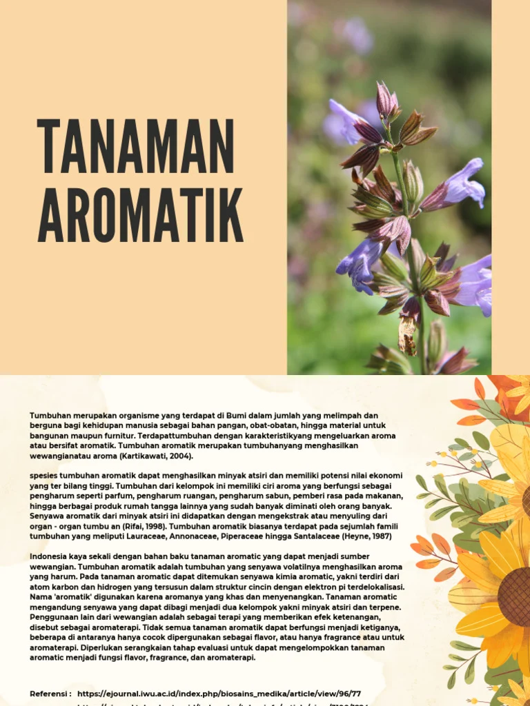 Samsyiah.r Tanaman Aromatik (Revisi) | PDF