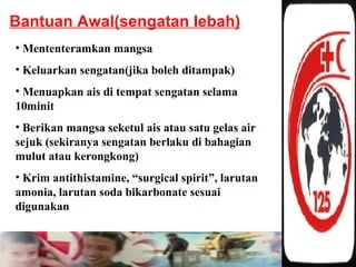 sengatan | PPT