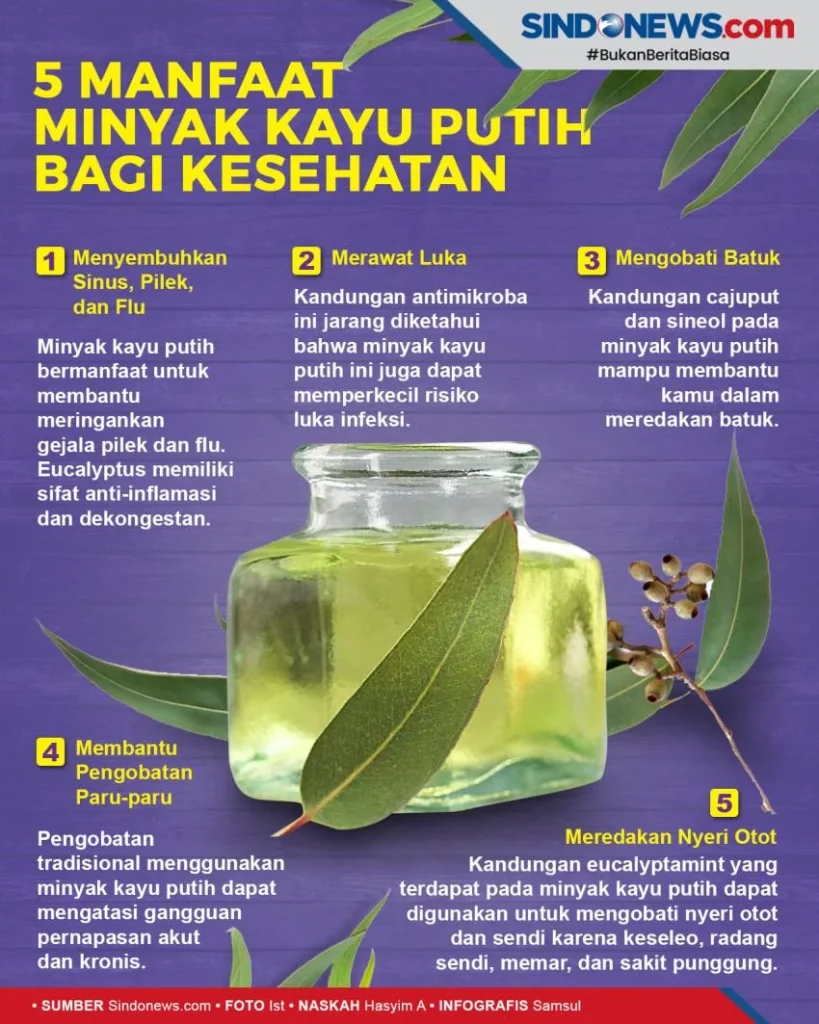 SINDO Hi-Lite - Berikut 5 Manfaat Minyak Kayu Putih Bagi Kesehatan