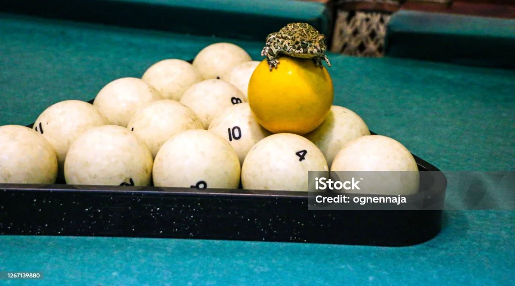 Strategi Memanfaatkan Makanan Kodok dalam Permainan