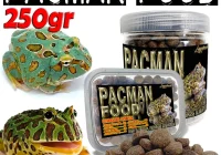 Tips Memilih Pakan Kodok Pac‑Man yang Tepat