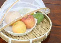 Tips Mengusir Lalat Buah dari Dapur