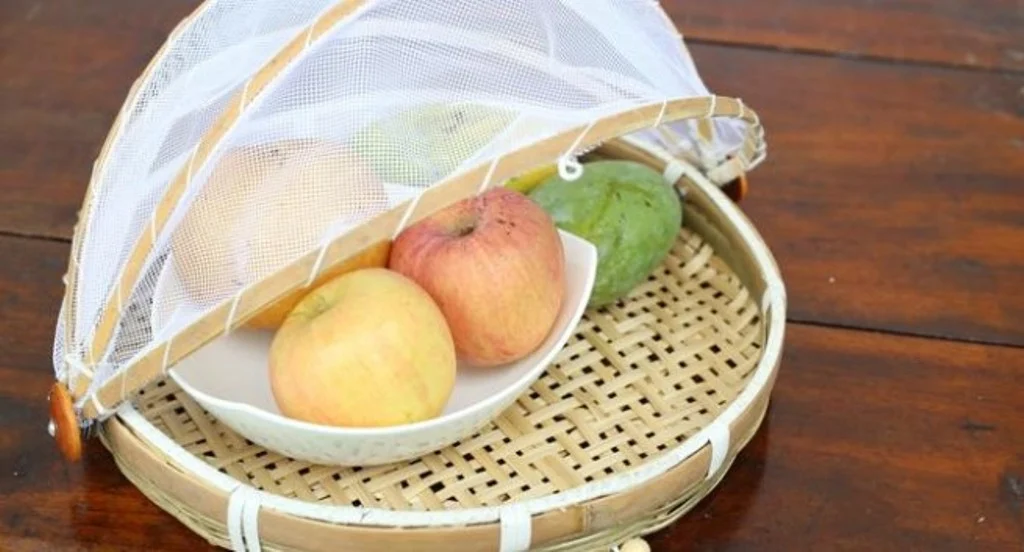 Tips Mengusir Lalat Buah dari Dapur