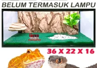 Ukuran Terrarium untuk Kodok Pacman yang Ideal