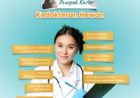 aplikasi cari dokter hewan terdekat: Fitur Utama dan Cara Kerja