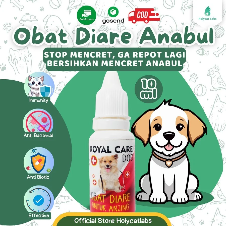 Bagaimana Menilai Keberhasilan Pengobatan Obat Diare Anjing yang Aman untuk Anak Anjing?