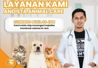 biaya layanan dokter hewan 24 jam di Jakarta: Faktor Penentuan Harga