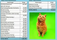 biaya steril kucing pada ras Persia vs lokal: Faktor-faktor Penentu Harga