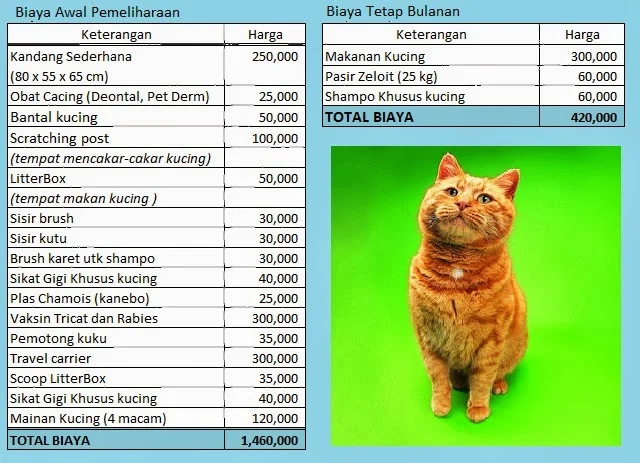 biaya steril kucing pada ras Persia vs lokal: Faktor-faktor Penentu Harga