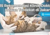 Daftar Dokter Hewan Terdekat di Jakarta dengan Layanan Terpercaya
