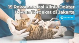 Daftar Dokter Hewan Terdekat di Jakarta dengan Layanan Terpercaya