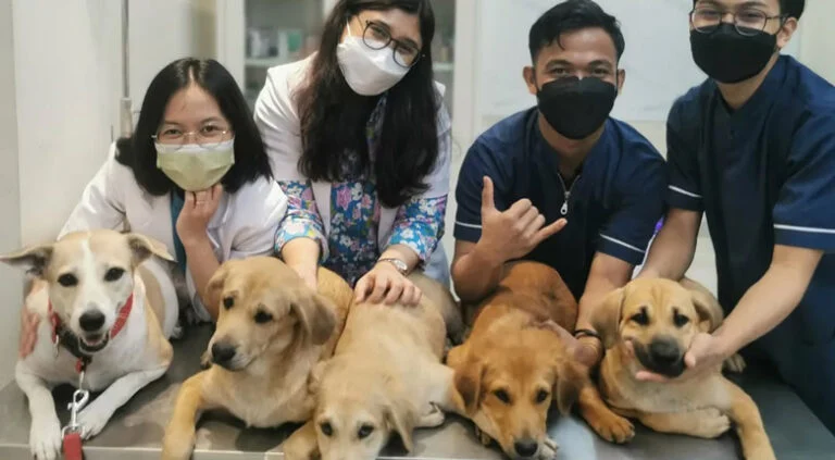 Daftar Klinik dan Rumah Sakit Hewan 24 Jam Terpercaya di Jakarta