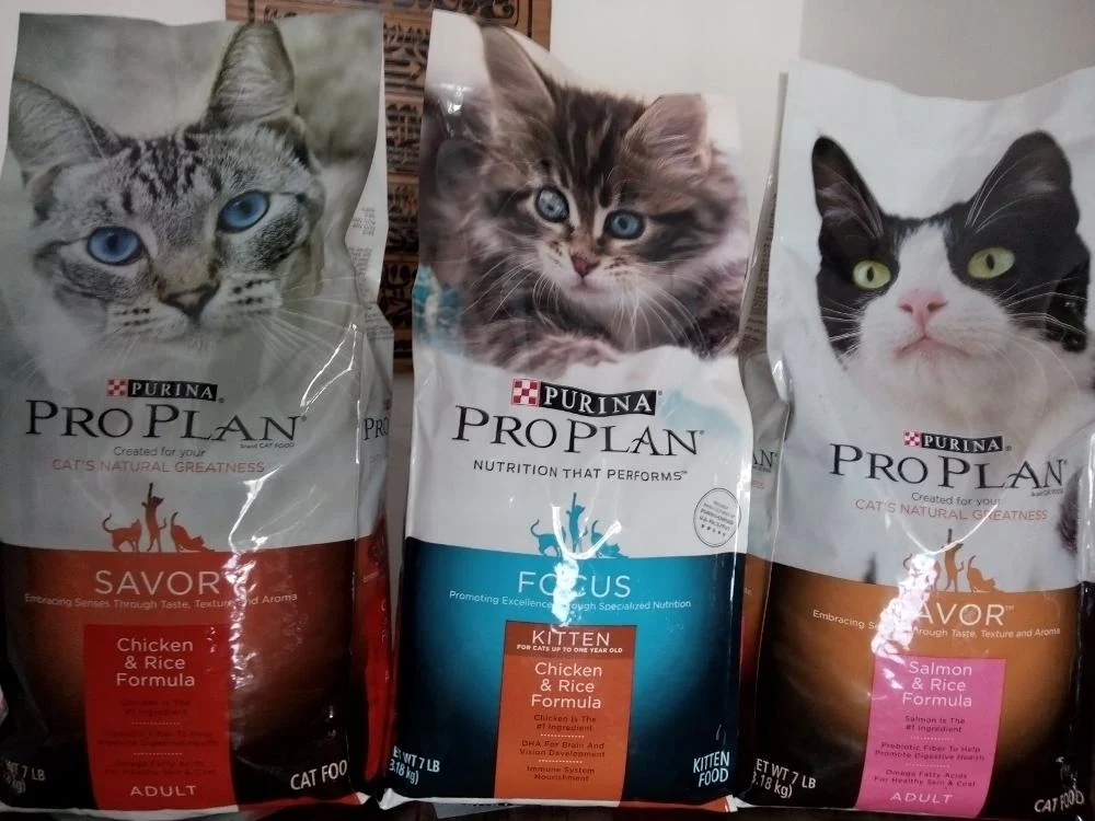 Daftar Merek Premium yang Direkomendasikan untuk Anak Kucing
