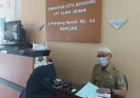 dokter hewan panggilan di daerah Bandung: Layanan Utama dan Keunggulannya