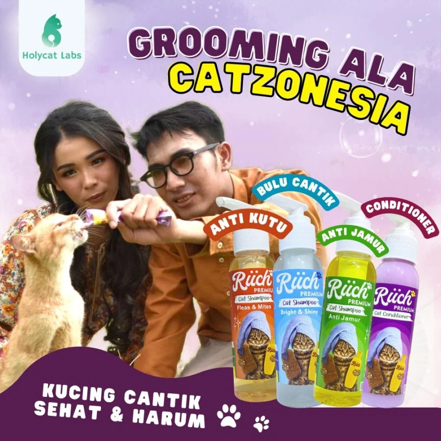 Faktor-faktor yang memengaruhi harga paket grooming kucing lengkap murah