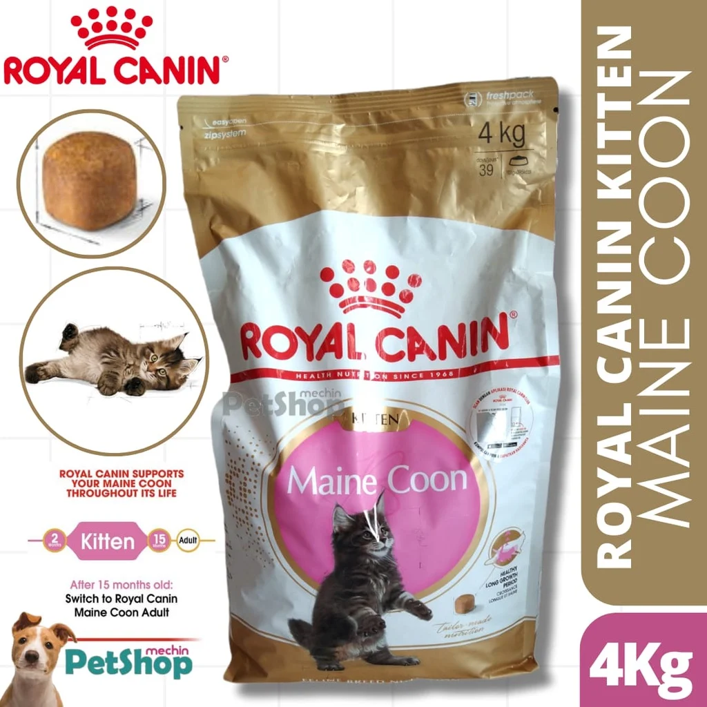 Kebutuhan Khusus Ras Maine Coon dalam Penitipan