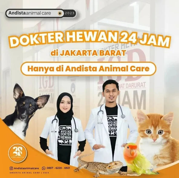 Keunggulan Klinik Hewan 24 Jam di Jakarta